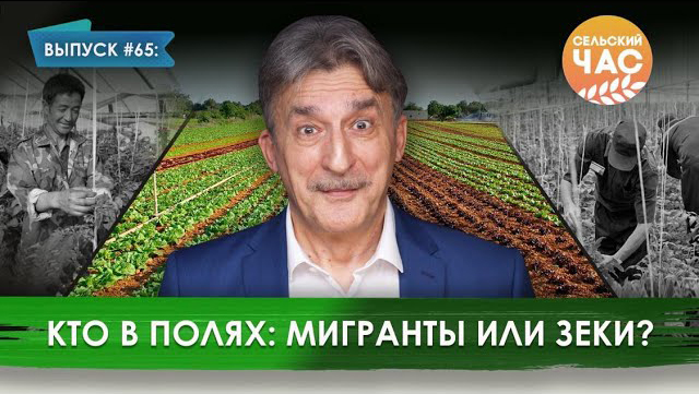 Программа сельский час